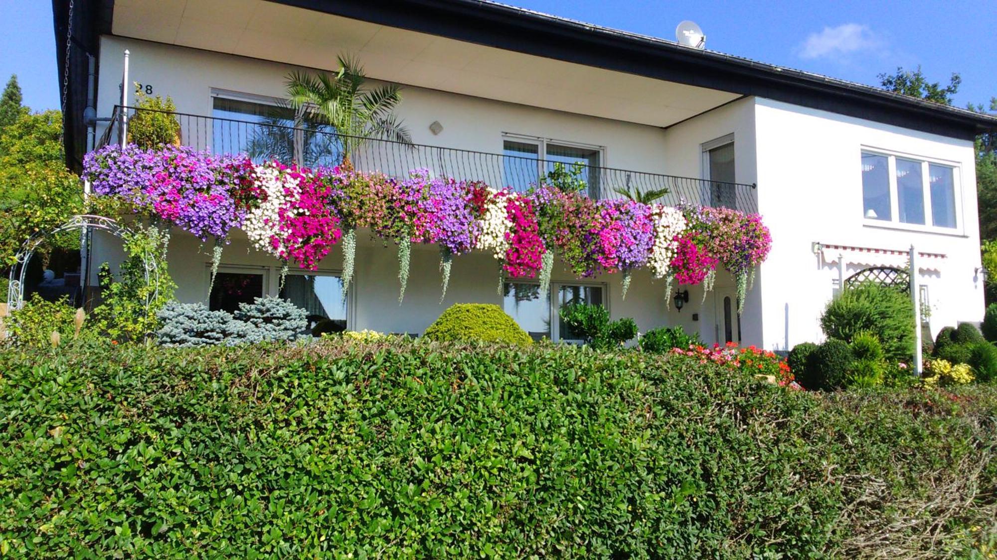 Haus Alexandra Apartamento Schoneberg  Exterior foto